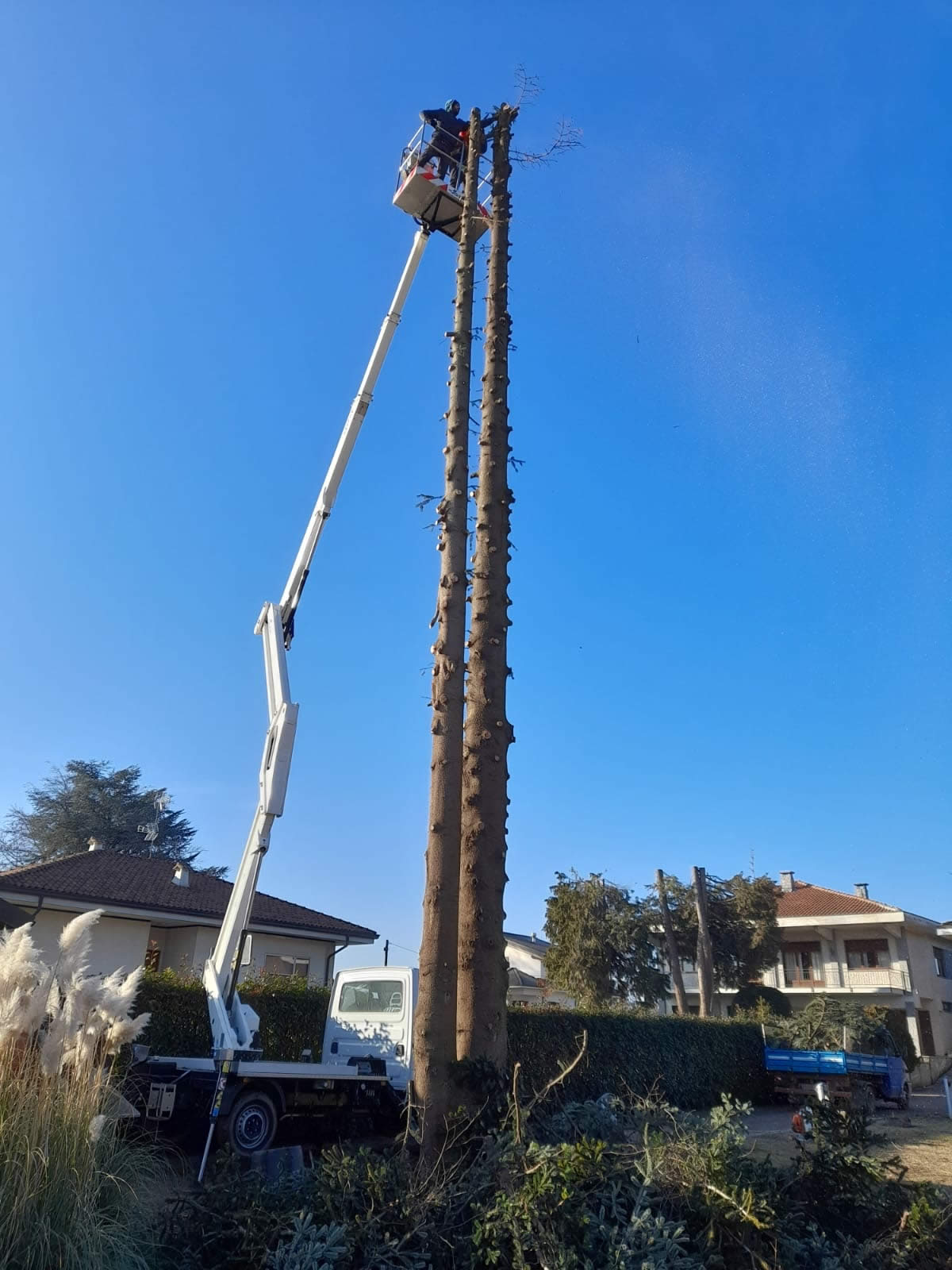 Abbattimento Piante con Piattaforma Aerea