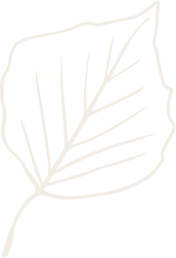 giardini, impianti di irrigazione, giardiniere, giardini verticali
