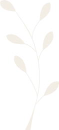 giardini, impianti di irrigazione, giardiniere, giardini verticali