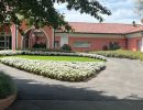Piantumazione