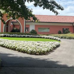 Piantumazione Piantumazione