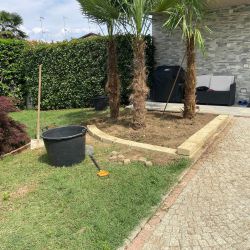 Realizzazione aiuole Realizzazione aiuole